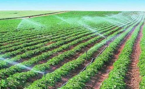 抽插干免费看农田高 效节水灌溉